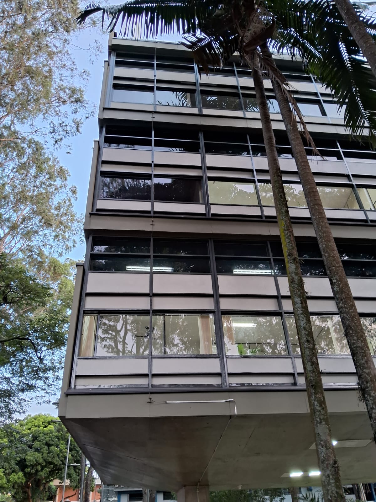 Espelhado Unicamp Pintura 4